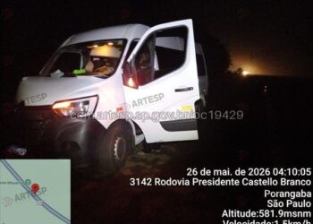 Cavalo morre após ser atropelado por van na Rodovia Castello Branco em Porangaba