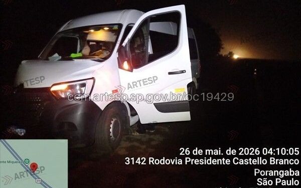 Cavalo morre após ser atropelado por van na Rodovia Castello Branco em Porangaba